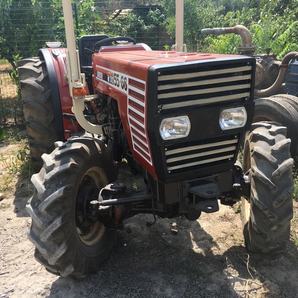 Tractor Affair - Vendo TRATTORE FIAT 55-66 DT F 55 cv FRUTTETO Usato